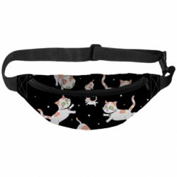 3D-сумка на пояс Rick and Morty Schrodinger cats and Einstein - PrintSalon