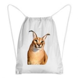 Рюкзак-мешок Большой шлёпа - PrintSalon