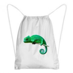 Рюкзак-мешок Хамелеон - PrintSalon