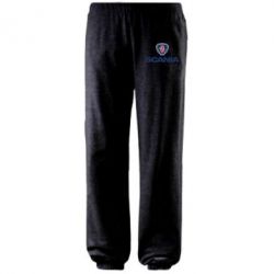 Штаны Scania - PrintSalon