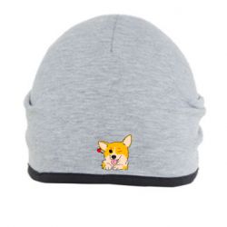Шапка Cute Corgi Puppy - PrintSalon