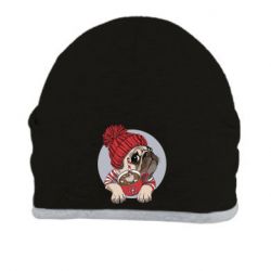 Шапка Pug And Coffee