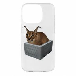 Чехол для iPhone 14 Pro Шлепа в тазике - PrintSalon