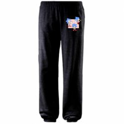 Штаны Funny Sonic - PrintSalon