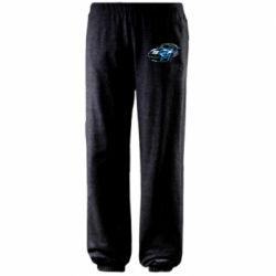 Штаны 2020 Ford Mustang Shelby GT500 - PrintSalon