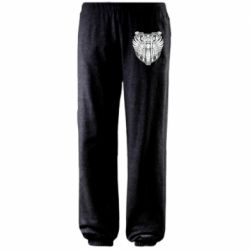 Штаны Bike Shield Art - PrintSalon