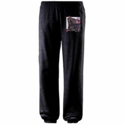 Штаны Hey, Power - PrintSalon