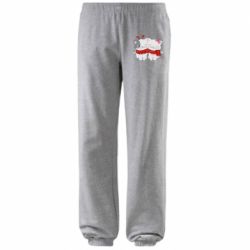 Штаны Kittens In Love - PrintSalon