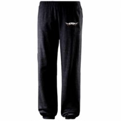 Штаны Ktm Ready to Race Wings - PrintSalon