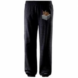 Штаны Шлепа в тазике - PrintSalon