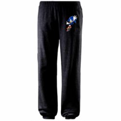 Штаны Sonic and the jump - PrintSalon