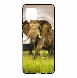 Чохол для Samsung A42 5G Слон - PrintSalon