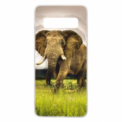 Чохол для Samsung S10 Слон