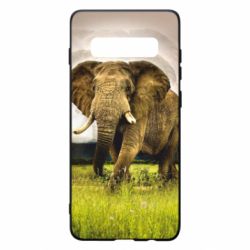 Чохол для Samsung S10+ Слон - PrintSalon