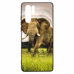Чохол для Huawei P30 Pro Слон - PrintSalon