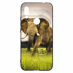 Чохол для Xiaomi Redmi 7 Слон - PrintSalon