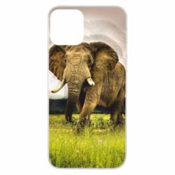 Чохол для iPhone 11 Слон - PrintSalon