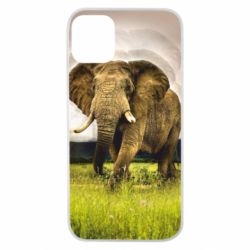 Чохол для iPhone 11 Pro Слон - PrintSalon