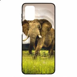 Чохол для Samsung M51 Слон - PrintSalon
