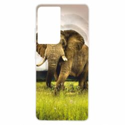 Чохол для Samsung S21 Ultra Слон - PrintSalon