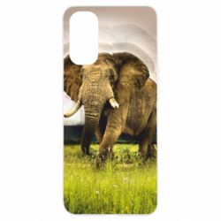 Чехол для Oppo Reno 4 Слон-PrintSalon Чехол для Oppo Reno 4 Слон
