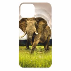 Чохол для iPhone 14 Слон - PrintSalon