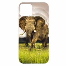 Чохол для iPhone 14 Plus Слон - PrintSalon