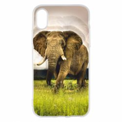 Чохол для iPhone X/Xs Слон - PrintSalon