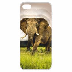 Чохол для iphone 5/5S/SE Слон-PrintSalon Чохол для iphone 5/5S/SE Слон