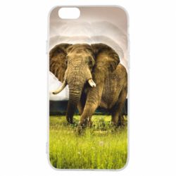 Чохол для iPhone 6/6S Слон-PrintSalon Чохол для iPhone 6/6S Слон