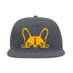 Снепбек French Bulldog Puppy