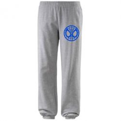 Штаны Спайдермен лого-PrintSalon Штаны Спайдермен лого