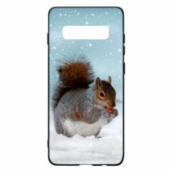 Чехол для Samsung S10+ Squirrel with nut - PrintSalon