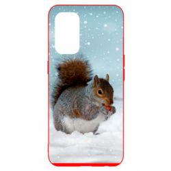 Чехол для Oppo Reno 5 4G Squirrel with nut - PrintSalon