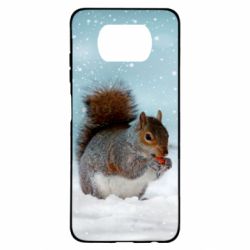 Чехол для Xiaomi Poco X3 Squirrel with nut - PrintSalon