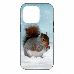 Чехол для iPhone 14 Pro Squirrel with nut - PrintSalon