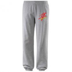 Штаны Suzuki Hayabusa - PrintSalon