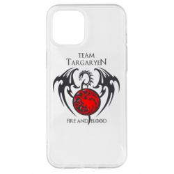 Чехол для iPhone 12 Pro Max Team Targaryen - PrintSalon