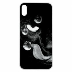 Чохол для iPhone Xs Max The cat licked - PrintSalon