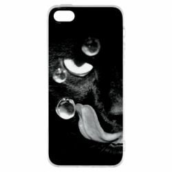 Чохол для iphone 5/5S/SE The cat licked - PrintSalon