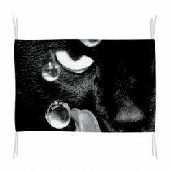 Прапор The cat licked - PrintSalon
