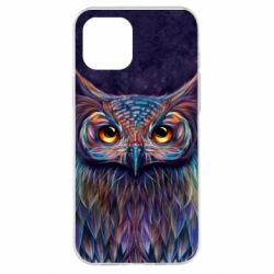 Чехол для iPhone 12 Pro Max The Magic Owl - PrintSalon