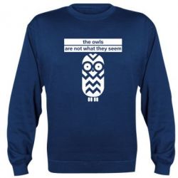 Світшот The owls are not what they seem - PrintSalon