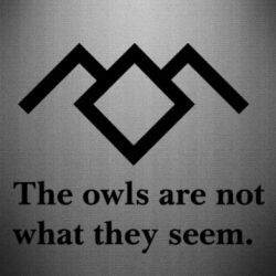 Наклейка Твин Пикс совы - PrintSalon