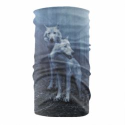 Бандана Two wolves in the forest