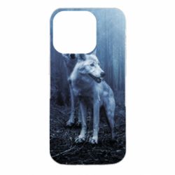 Чехол для iPhone 14 Pro Two wolves in the forest - PrintSalon