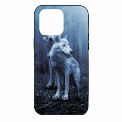 Чехол для iPhone 14 Pro Max Two wolves in the forest - PrintSalon