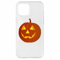 Чехол для iPhone 12 Pro Max Тыква Halloween - PrintSalon