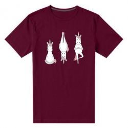Мужская футболка премиум Unicorn in yoga - PrintSalon