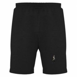 Мужские шорты Valorant Cypher - PrintSalon